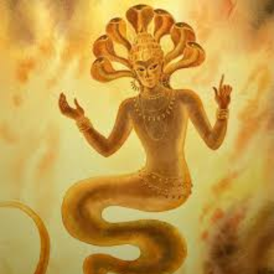 Profile picture of Karkotaka Naga